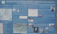 Rezervatia naturala muzeul Trovantilor Costesti poza